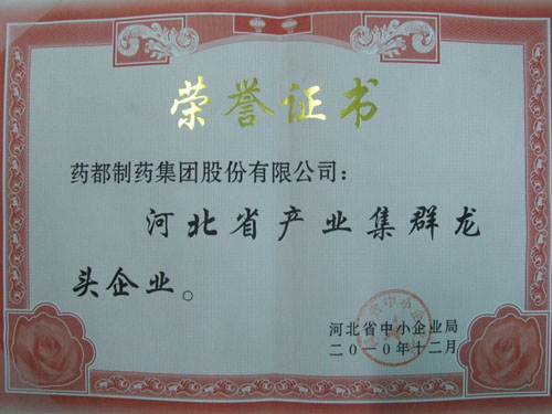 河北省產業(yè)集群龍頭企業(yè)