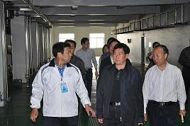 河北省委常委、副省長楊崇勇到我公司視察