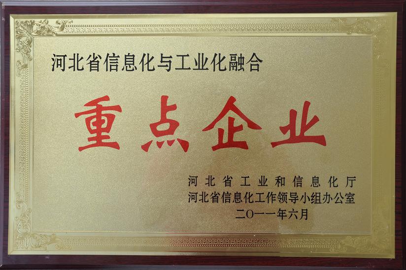 藥都制藥集團(tuán)股份有限公司榮獲“河北省信息化與工業(yè)化融合重點企業(yè)”稱號