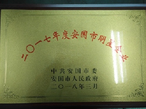 我公司被安國市委、市政府評為二〇一七年度明星企業(yè)